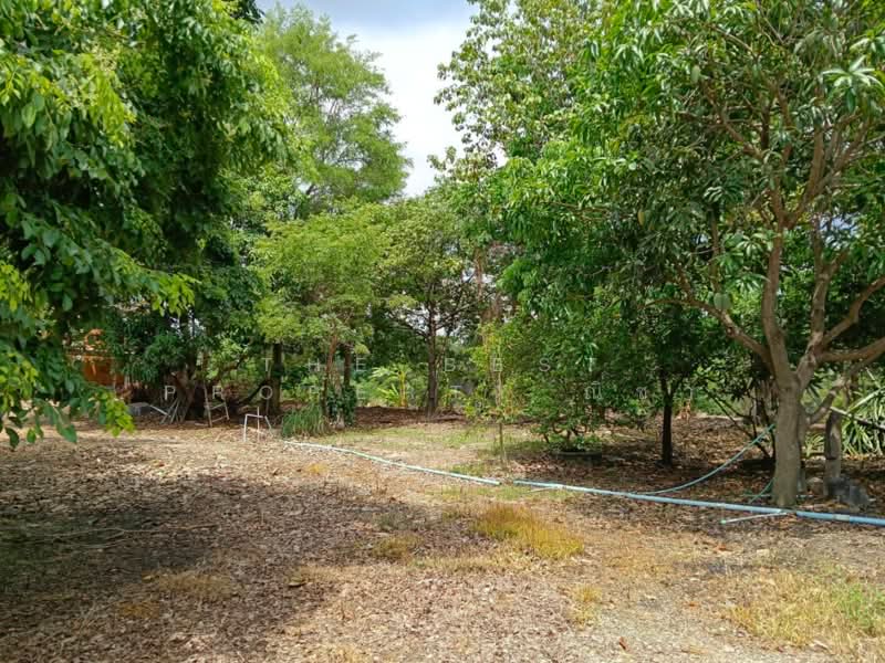 ที่ดินบางระกำ พิษณุโลก, Phitsanulok, Bang Rakam, Phitsanulok, , 65,632 sqm, Land For Sale, by The Best Property ณิชา, 500367858 - DDproperty.com