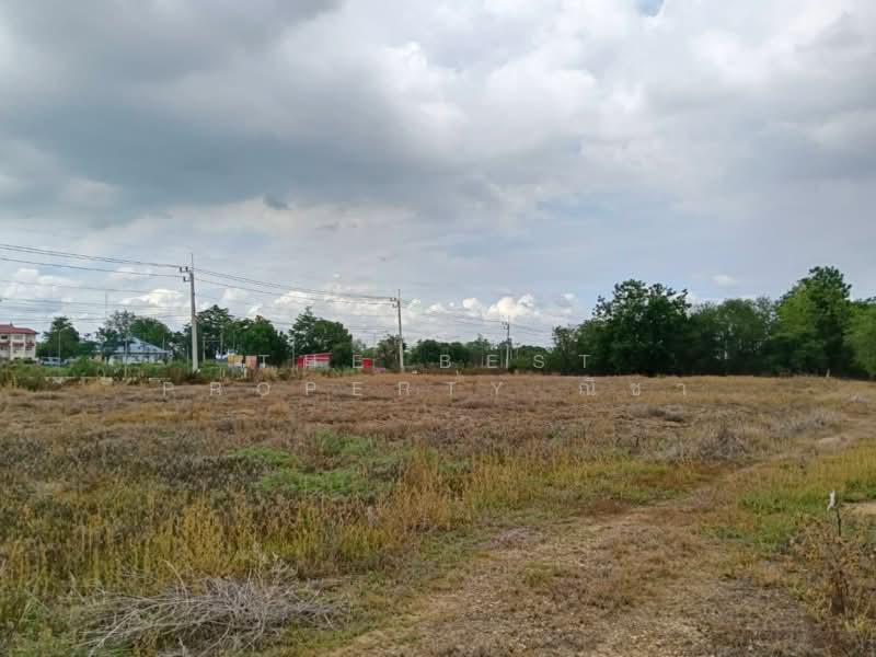 ที่ดินบางระกำ พิษณุโลก, Phitsanulok, Bang Rakam, Phitsanulok, , 65,632 sqm, Land For Sale, by The Best Property ณิชา, 500367858 - DDproperty.com