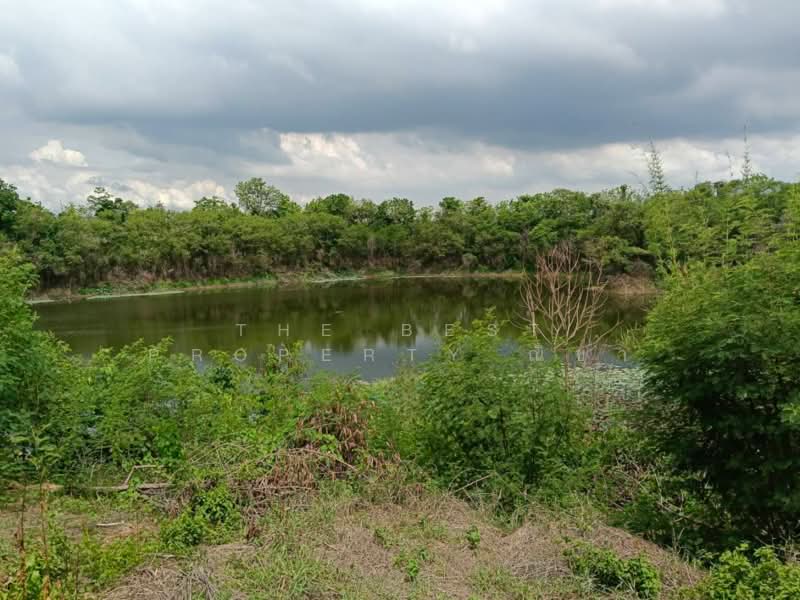 ที่ดินบางระกำ พิษณุโลก, Phitsanulok, Bang Rakam, Phitsanulok, , 65,632 sqm, Land For Sale, by The Best Property ณิชา, 500367858 - DDproperty.com