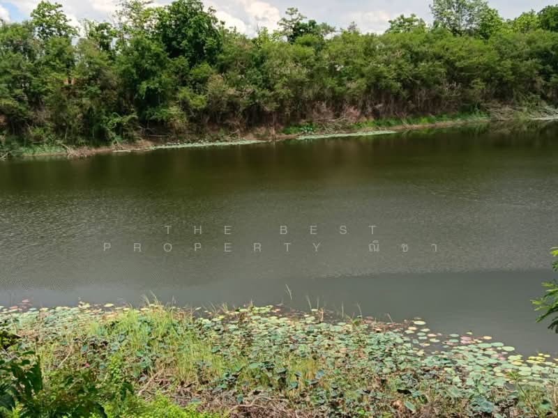 ที่ดินบางระกำ พิษณุโลก, Phitsanulok, Bang Rakam, Phitsanulok, , 65,632 sqm, Land For Sale, by The Best Property ณิชา, 500367858 - DDproperty.com