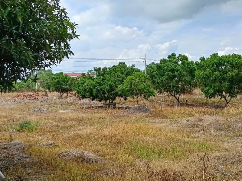ที่ดินบางระกำ พิษณุโลก, Phitsanulok, Bang Rakam, Phitsanulok, , 65,632 sqm, Land For Sale, by The Best Property ณิชา, 500367858 - DDproperty.com