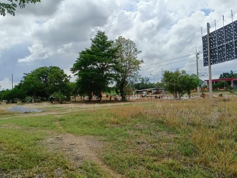 ที่ดินบางระกำ พิษณุโลก, Phitsanulok, Bang Rakam, Phitsanulok, , 65,632 sqm, Land For Sale, by The Best Property ณิชา, 500367858 - DDproperty.com