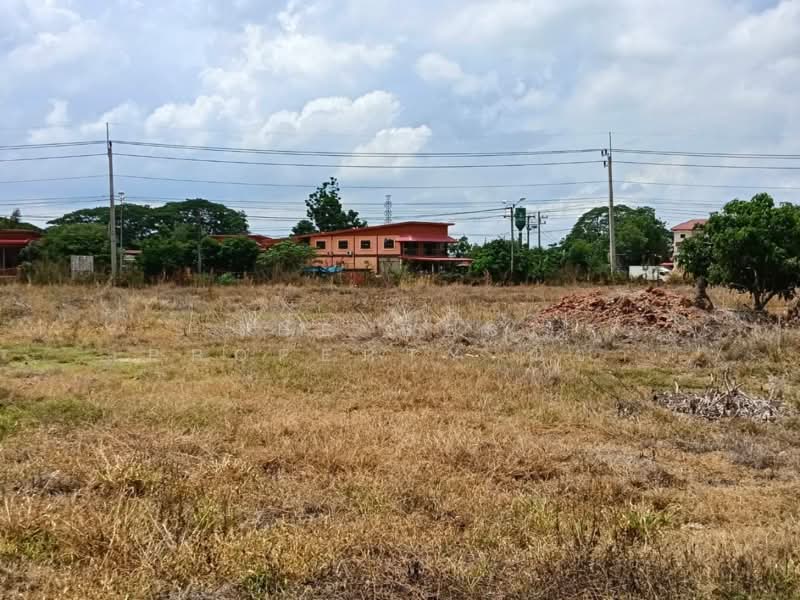 ที่ดินบางระกำ พิษณุโลก, Phitsanulok, Bang Rakam, Phitsanulok, , 65,632 sqm, Land For Sale, by The Best Property ณิชา, 500367858 - DDproperty.com