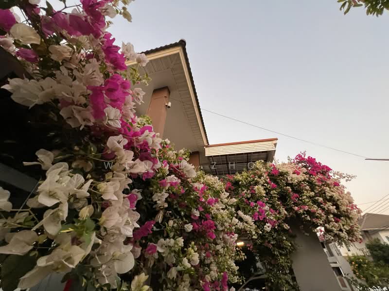 For Sale / Rent: Fully Furnished Detached House in a Prime Location – Sansaran Village, Chiang Mai, Nong Kwai, Hang Dong, Chiang Mai, 4 Bedrooms, 260 sqm, Single Detached House For Rent, by Wenyu Zhou, 500367859 - DDproperty.com