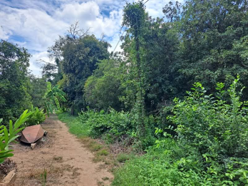 ที่ดินโกรกพระ นครสวรรค์, Nakhon Sawan, Bang Mafo, Krok Phra, Nakhon Sawan, , 2,384 sqm, Land For Sale, by The Best Property เบ็นซ์, 500367883 - DDproperty.com