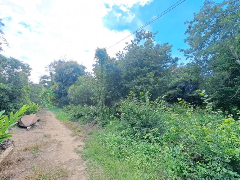 ที่ดินโกรกพระ นครสวรรค์, Nakhon Sawan, Bang Mafo, Krok Phra, Nakhon Sawan, , 2,384 sqm, Land For Sale, by The Best Property เบ็นซ์, 500367883 - DDproperty.com