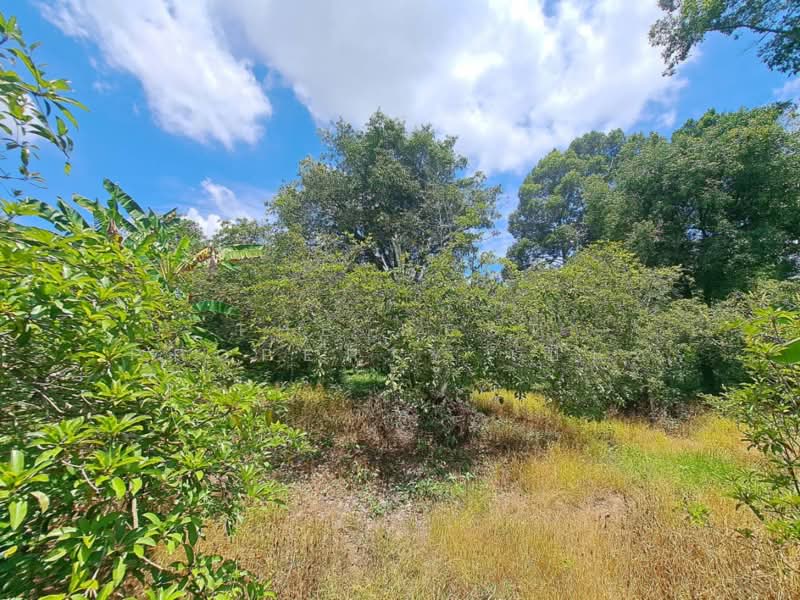 ที่ดินโกรกพระ นครสวรรค์, Nakhon Sawan, Bang Mafo, Krok Phra, Nakhon Sawan, , 2,384 sqm, Land For Sale, by The Best Property เบ็นซ์, 500367883 - DDproperty.com