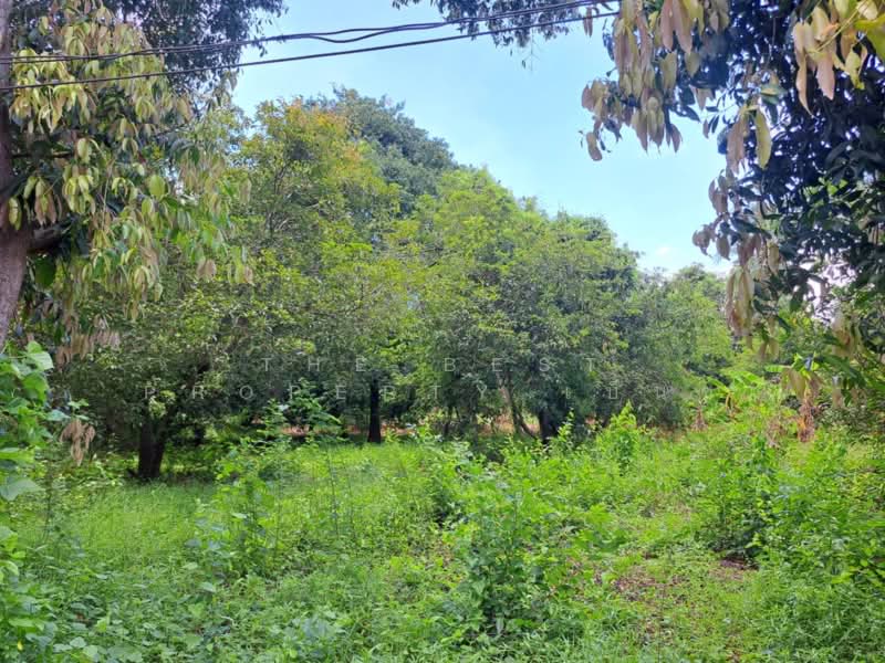 ที่ดินโกรกพระ นครสวรรค์, Nakhon Sawan, Bang Mafo, Krok Phra, Nakhon Sawan, , 2,384 sqm, Land For Sale, by The Best Property เบ็นซ์, 500367883 - DDproperty.com