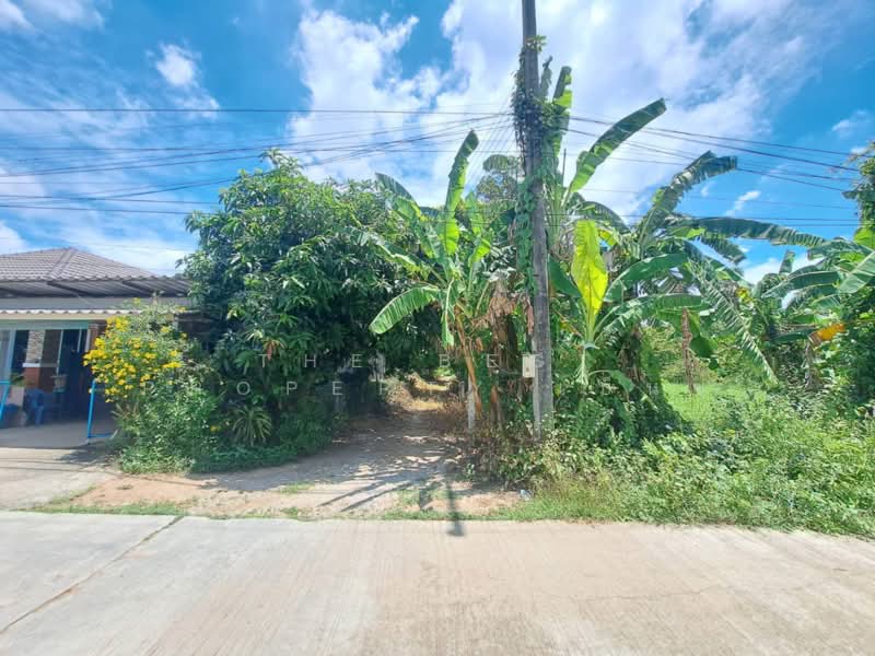 ที่ดินโกรกพระ นครสวรรค์, นครสวรรค์, บางมะฝ่อ, โกรกพระ, นครสวรรค์, 2,384 ตร.ม., ที่ดิน ขาย, โดย The Best Property เบ็นซ์, 500367883 - DDproperty.com