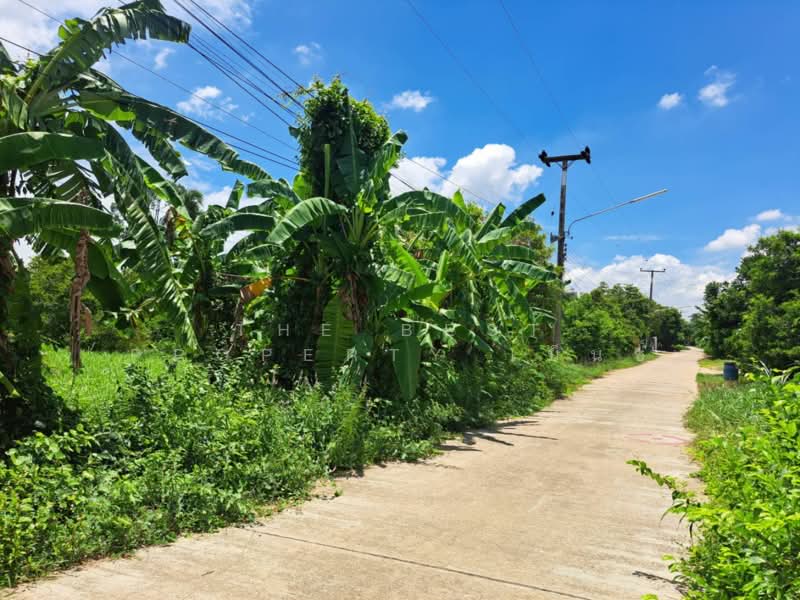 ที่ดินโกรกพระ นครสวรรค์, นครสวรรค์, บางมะฝ่อ, โกรกพระ, นครสวรรค์, 2,384 ตร.ม., ที่ดิน ขาย, โดย The Best Property เบ็นซ์, 500367883 - DDproperty.com