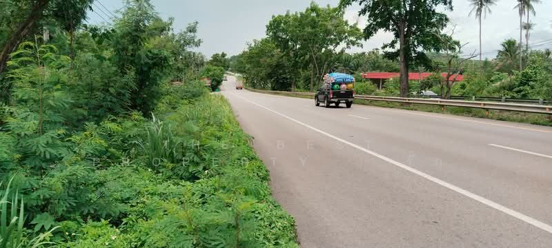 ที่ดินทุ่งคา ชุมพร, ชุมพร, ทุ่งคา, เมืองชุมพร, ชุมพร, 42,064 ตร.ม., ที่ดิน ขาย, โดย The Best Property รัก, 500367935 - DDproperty.com