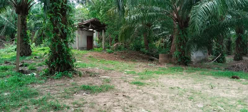 ที่ดินทุ่งคา ชุมพร, Chumphon, Thung Kha, Muang Chumphon, Chumphon, , 42,064 sqm, Land For Sale, by The Best Property รัก, 500367935 - DDproperty.com
