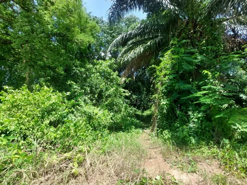 ที่ดินโพนพิสัย หนองคาย, หนองคาย, วัดหลวง, โพนพิสัย, หนองคาย, 8,340 ตร.ม., ที่ดิน ขาย, โดย The Best Property เป้า, 500367954 - DDproperty.com