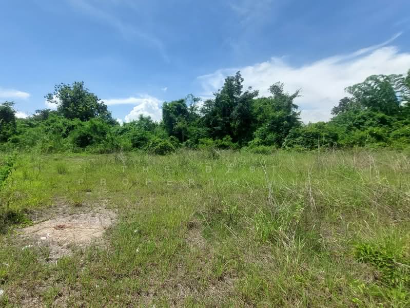 ที่ดินโพนพิสัย หนองคาย, Nong Khai, Wat Luang, Phon Phisai, Nong Khai, , 8,340 sqm, Land For Sale, by The Best Property เป้า, 500367954 - DDproperty.com