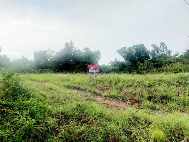 ที่ดินโพนพิสัย หนองคาย, Nong Khai, Wat Luang, Phon Phisai, Nong Khai, , 8,340 sqm, Land For Sale, by The Best Property เป้า, 500367954 - DDproperty.com