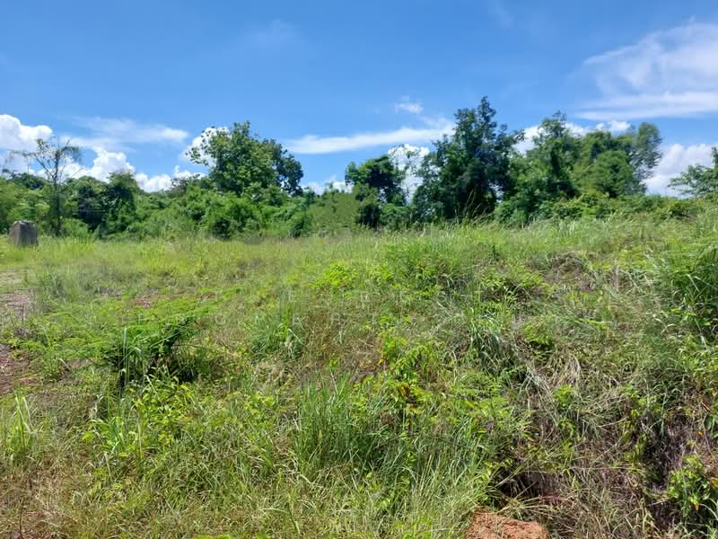 ที่ดินโพนพิสัย หนองคาย, Nong Khai, Wat Luang, Phon Phisai, Nong Khai, , 8,340 sqm, Land For Sale, by The Best Property เป้า, 500367954 - DDproperty.com