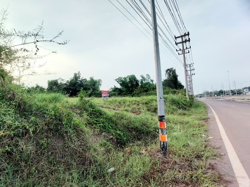 ที่ดินโพนพิสัย หนองคาย, หนองคาย, วัดหลวง, โพนพิสัย, หนองคาย, 8,340 ตร.ม., ที่ดิน ขาย, โดย The Best Property เป้า, 500367954 - DDproperty.com