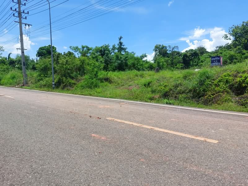 ที่ดินโพนพิสัย หนองคาย, Nong Khai, Wat Luang, Phon Phisai, Nong Khai, , 8,340 sqm, Land For Sale, by The Best Property เป้า, 500367954 - DDproperty.com