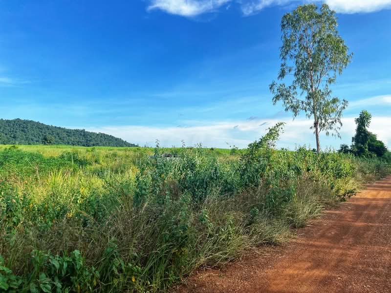 ดินหันคา ชัยนาท, ชัยนาท, หนองแซง, หันคา, ชัยนาท, 66,520 ตร.ม., ที่ดิน ขาย, โดย The Best Property แอ้, 500367966 - DDproperty.com