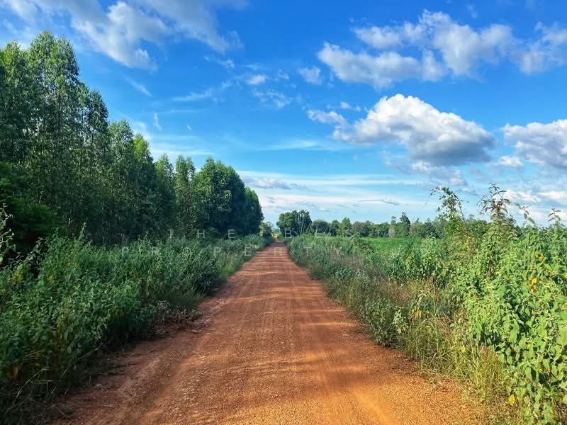 ดินหันคา ชัยนาท, ชัยนาท, หนองแซง, หันคา, ชัยนาท, 66,520 ตร.ม., ที่ดิน ขาย, โดย The Best Property แอ้, 500367966 - DDproperty.com