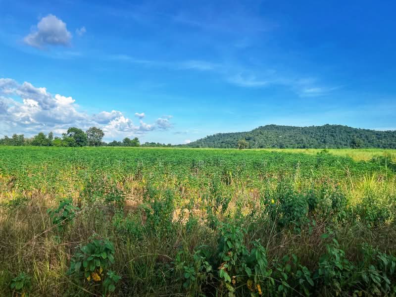 ดินหันคา ชัยนาท, ชัยนาท, หนองแซง, หันคา, ชัยนาท, 66,520 ตร.ม., ที่ดิน ขาย, โดย The Best Property แอ้, 500367966 - DDproperty.com