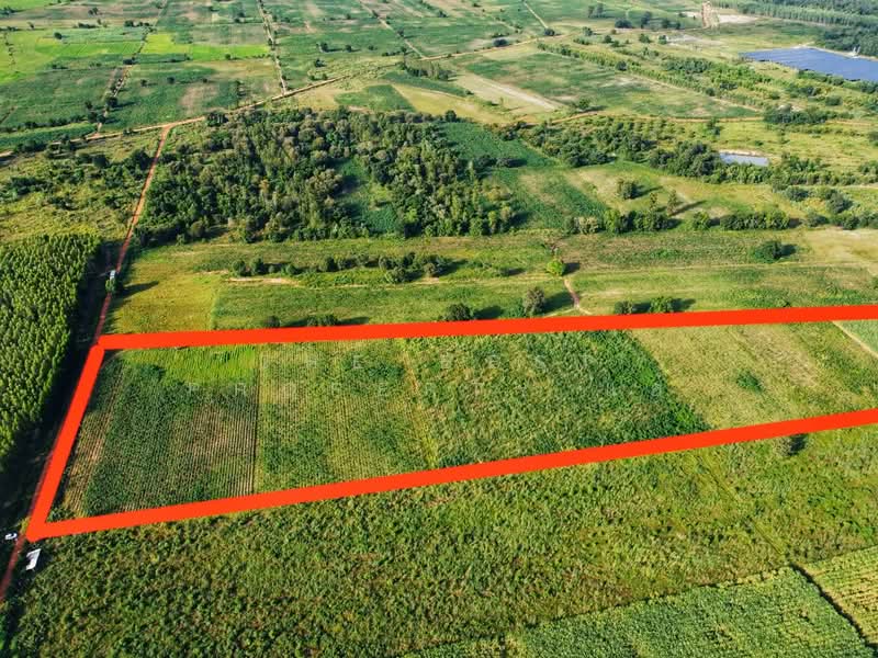 ดินหันคา ชัยนาท, ชัยนาท, หนองแซง, หันคา, ชัยนาท, 66,520 ตร.ม., ที่ดิน ขาย, โดย The Best Property แอ้, 500367966 - DDproperty.com