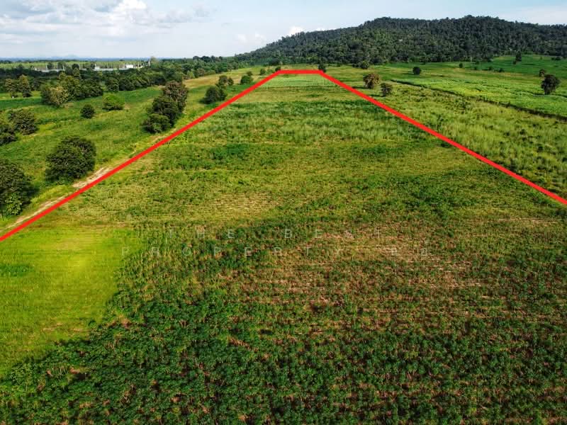 ดินหันคา ชัยนาท, Chai Nat, Nong Zang, Han Kha, Chai Nat, , 66,520 sqm, Land For Sale, by The Best Property แอ้, 500367966 - DDproperty.com