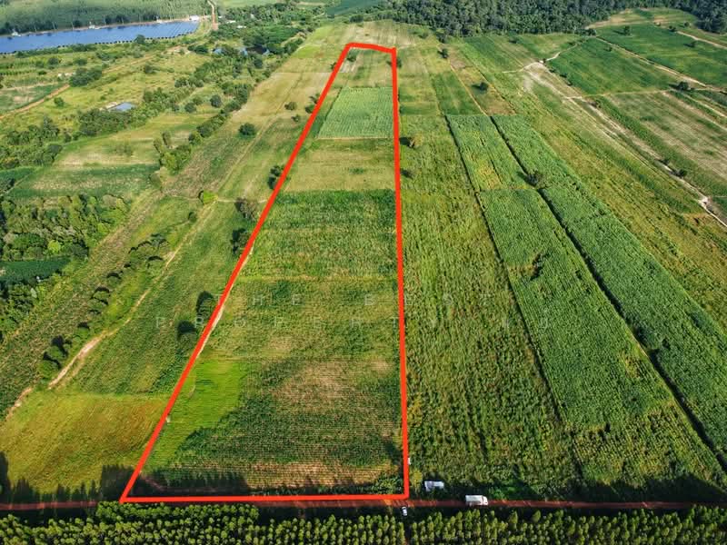 ดินหันคา ชัยนาท, ชัยนาท, หนองแซง, หันคา, ชัยนาท, 66,520 ตร.ม., ที่ดิน ขาย, โดย The Best Property แอ้, 500367966 - DDproperty.com