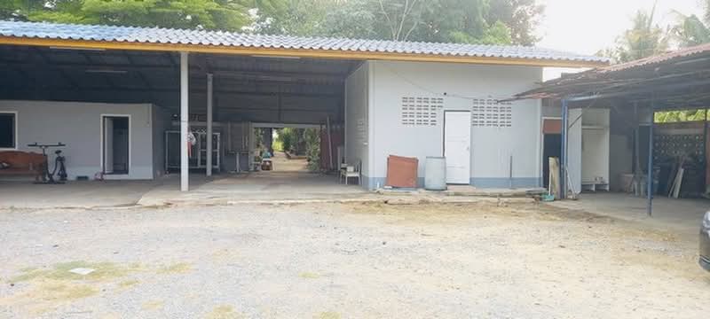 ให้เช่าและขายที่ดิน 8ไร่ครึ่ง พร้อมบ้านเดี่ยวอีก 1หลัง คลอง8 หนองเสือ ปทุมธานี, Pathum Thani, Bung Cham O, Nong Sua, Pathum Thani, 4 Bedrooms, 150 sqm, Single Detached House For Rent, by Narong Chutianankasem, 500368008 - DDproperty.com