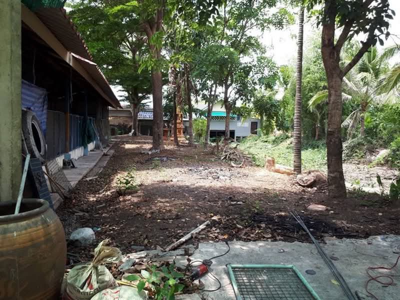 ให้เช่าและขายที่ดิน 8ไร่ครึ่ง พร้อมบ้านเดี่ยวอีก 1หลัง คลอง8 หนองเสือ ปทุมธานี, ปทุมธานี, บึงชำอ้อ, หนองเสือ, ปทุมธานี, 150 ตร.ม., บ้านเดี่ยว ให้เช่า, โดย Seng .PL, 500368008 - DDproperty.com