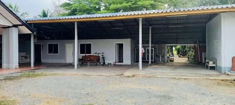 ให้เช่าและขายที่ดิน 8ไร่ครึ่ง พร้อมบ้านเดี่ยวอีก 1หลัง คลอง8 หนองเสือ ปทุมธานี, ปทุมธานี, บึงชำอ้อ, หนองเสือ, ปทุมธานี, 150 ตร.ม., บ้านเดี่ยว ให้เช่า, โดย Seng .PL, 500368008 - DDproperty.com