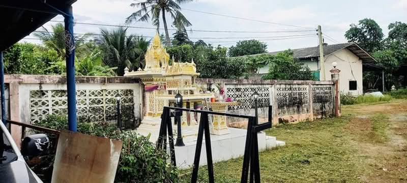 ให้เช่าและขายที่ดิน 8ไร่ครึ่ง พร้อมบ้านเดี่ยวอีก 1หลัง คลอง8 หนองเสือ ปทุมธานี, ปทุมธานี, บึงชำอ้อ, หนองเสือ, ปทุมธานี, 150 ตร.ม., บ้านเดี่ยว ให้เช่า, โดย Seng .PL, 500368008 - DDproperty.com