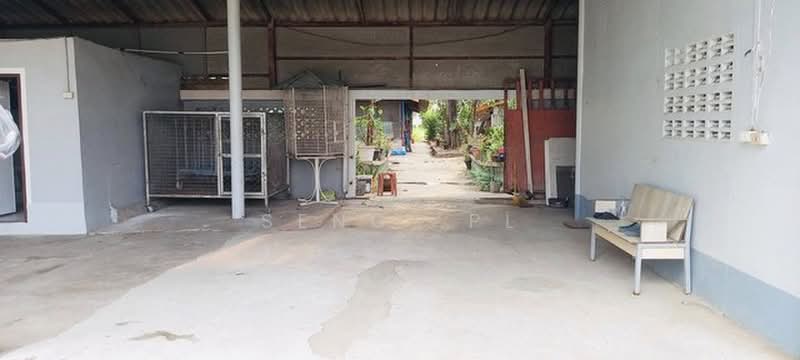ให้เช่าและขายที่ดิน 8ไร่ครึ่ง พร้อมบ้านเดี่ยวอีก 1หลัง คลอง8 หนองเสือ ปทุมธานี, Pathum Thani, Bung Cham O, Nong Sua, Pathum Thani, 4 Bedrooms, 150 sqm, Single Detached House For Rent, by Narong Chutianankasem, 500368008 - DDproperty.com