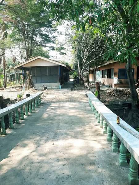 ให้เช่าและขายที่ดิน 8ไร่ครึ่ง พร้อมบ้านเดี่ยวอีก 1หลัง คลอง8 หนองเสือ ปทุมธานี, ปทุมธานี, บึงชำอ้อ, หนองเสือ, ปทุมธานี, 150 ตร.ม., บ้านเดี่ยว ให้เช่า, โดย Seng .PL, 500368008 - DDproperty.com