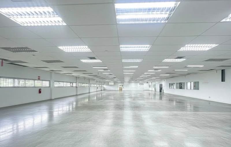 Factory for Sale – Purple Zone Industrial Property, Bangkok, Lat Krabang, Lat Krabang, Bangkok, , 6,700 sqm, Warehouse/Factory For Sale, by Pornpun Promlert, 500368019 - DDproperty.com