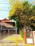 บ้านเดี่ยวพร้อมที่ดินสูงเม่น แพร่, แพร่