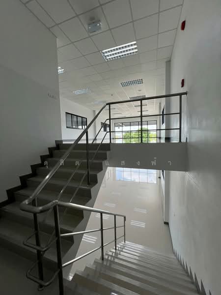 ให้เช่าโกดัง/คลังสินค้า ผังเหลือง ว่าง 4 หลัง ปู้เจ้าสมิงพราย สมุทรปราการ, Samut Prakan, Sam Rong Tai, Phra Pra Daeng, Samut Prakan, , 1,986 sqm, Warehouse/Factory For Rent, by Dusit Saengfa, 500368083 - DDproperty.com