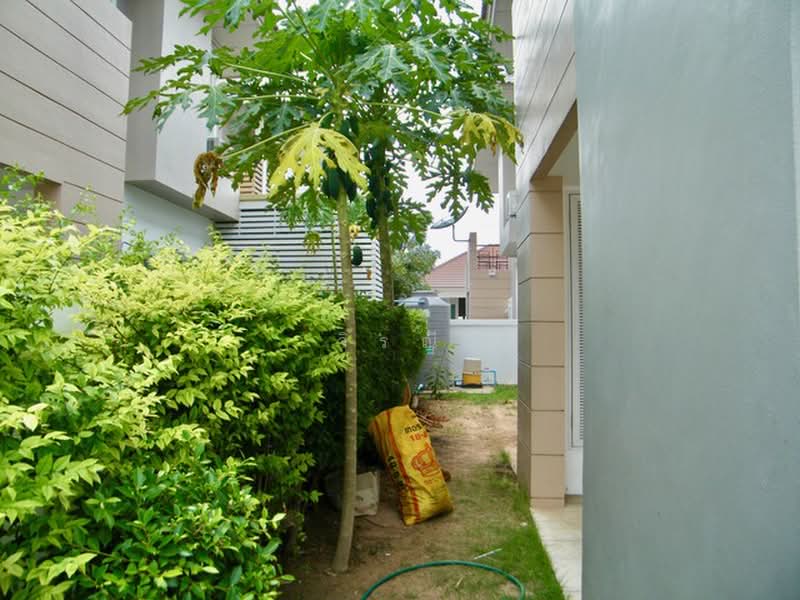 ขายบ้านเดี่ยว 2 ชั้น โครงการวีสต้า บ้านเกาะ, นครราชสีมา, บ้านเกาะ, เมืองนครราชสีมา, นครราชสีมา, 210 ตร.ม., บ้านเดี่ยว ขาย, โดย วิรณี, 500368169 - DDproperty.com