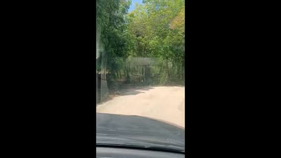 55 Rai Land for Sale in Kham Yai Ubon Ratchathani Rubber Plantation Ideal for Housing Project or War, Ubon Ratchathani, Kham Yai, Muang Ubon Ratchathani, Ubon Ratchathani, , 88,000 sqm, Land For Sale, by วาสนา ดวงจันทร์, 500368171 - DDproperty.com
