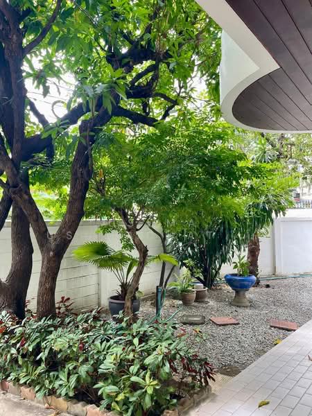 บ้านเดี่ยวพร้อมสวน ร่วมฤดี เพลินจิต พักอาศัยและบริษัทได้, Bangkok, Lumphini, Pathum Wan, Bangkok, 2 Bedrooms, 220 sqm, Single Detached House For Rent, by Usuma Usumachat, 500368248 - DDproperty.com