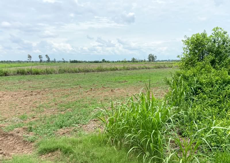 ที่ดินท่าตะโก นครสวรรค์, Nakhon Sawan, Hua Tanon, Tha Tako, Nakhon Sawan, , 39,308 sqm, Land For Sale, by The Best Property เฟิร์ท, 500368423 - DDproperty.com