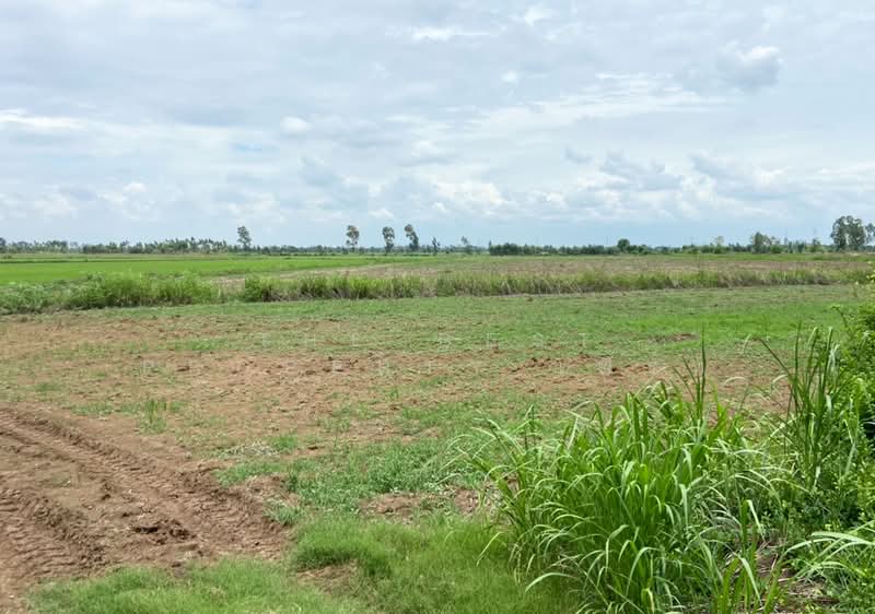ที่ดินท่าตะโก นครสวรรค์, Nakhon Sawan, Hua Tanon, Tha Tako, Nakhon Sawan, , 39,308 sqm, Land For Sale, by The Best Property เฟิร์ท, 500368423 - DDproperty.com
