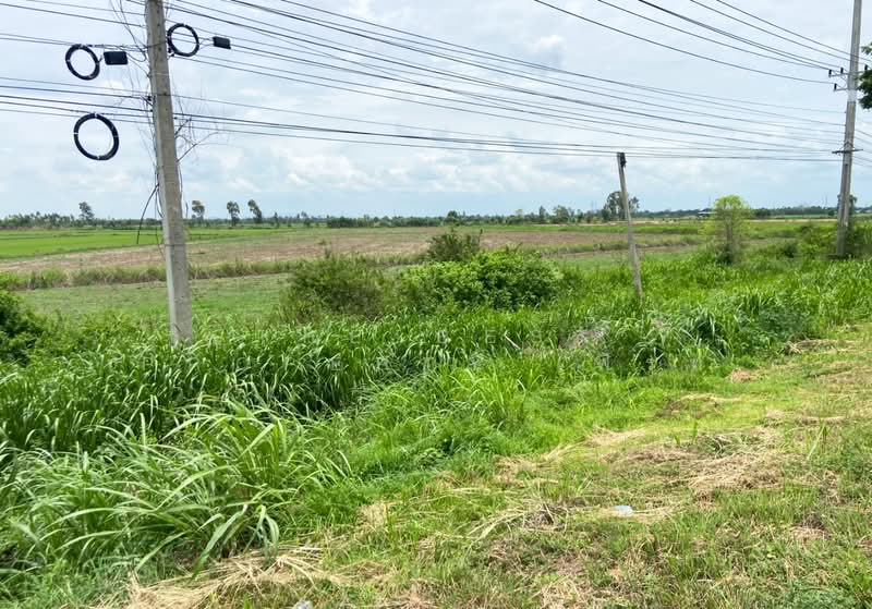 ที่ดินท่าตะโก นครสวรรค์, Nakhon Sawan, Hua Tanon, Tha Tako, Nakhon Sawan, , 39,308 sqm, Land For Sale, by The Best Property เฟิร์ท, 500368423 - DDproperty.com