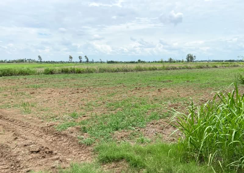 ที่ดินท่าตะโก นครสวรรค์, Nakhon Sawan, Hua Tanon, Tha Tako, Nakhon Sawan, , 39,308 sqm, Land For Sale, by The Best Property เฟิร์ท, 500368423 - DDproperty.com