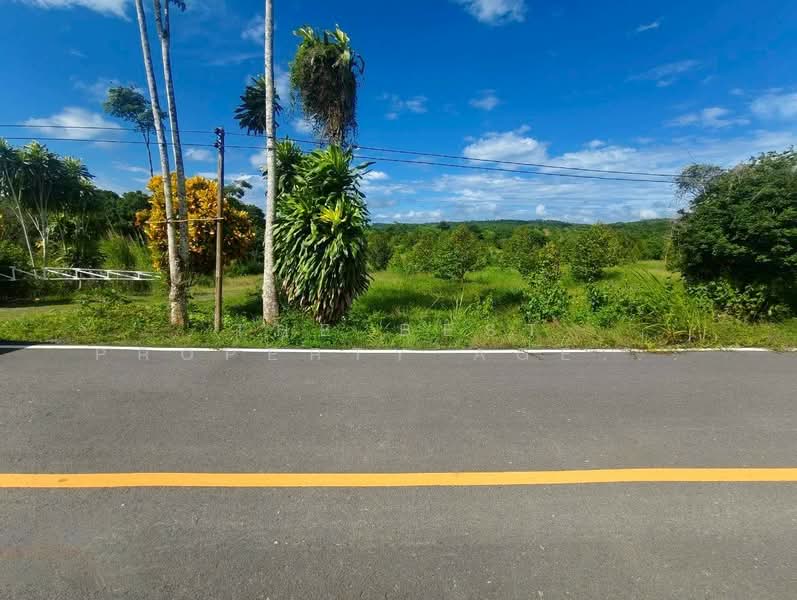 โครงการ :, Chanthaburi, Thap Sai, Pong Nam Ron, Chanthaburi, , 28,020 sqm, Land For Sale, by The Best Property Agent โชติ, 500368425 - DDproperty.com