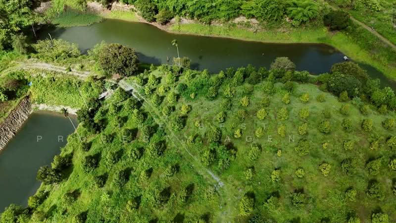 โครงการ :, Chanthaburi, Thap Sai, Pong Nam Ron, Chanthaburi, , 28,020 sqm, Land For Sale, by The Best Property Agent โชติ, 500368425 - DDproperty.com