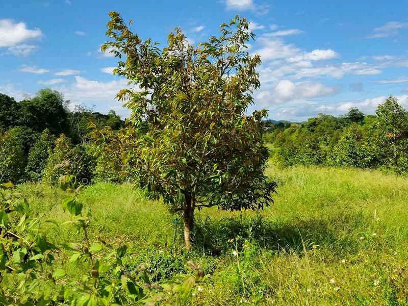 โครงการ :, Chanthaburi, Thap Sai, Pong Nam Ron, Chanthaburi, , 28,020 sqm, Land For Sale, by The Best Property Agent โชติ, 500368425 - DDproperty.com