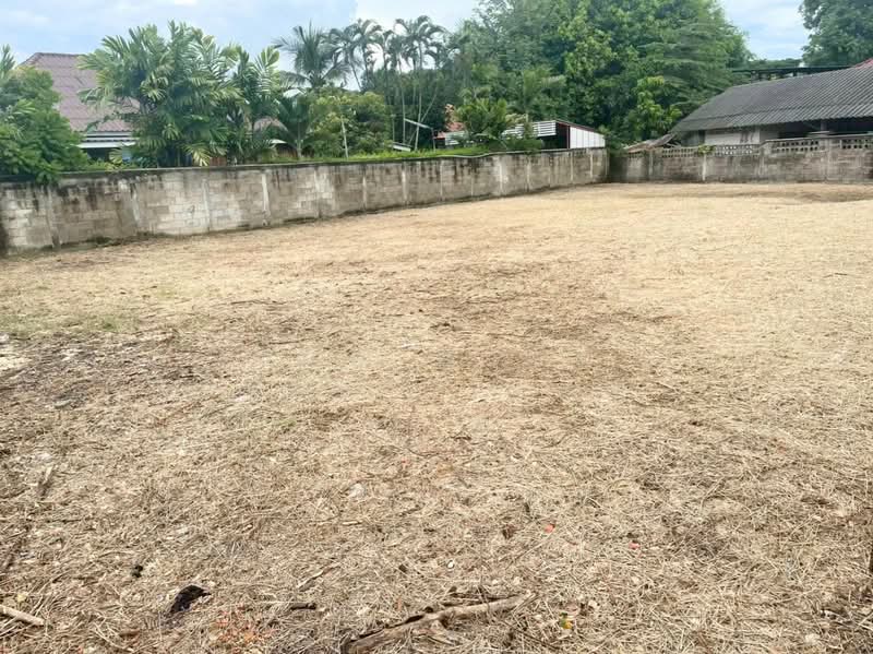ที่ดินสันกำแพง เชียงใหม่, Chiang Mai, Mae Pu Ka, San Kamphaeng, Chiang Mai, , 560 sqm, Land For Sale, by The Best Property Agent นก, 500368464 - DDproperty.com