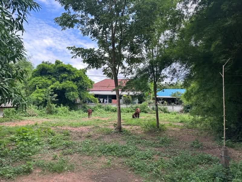 ที่ดินหนองเรือ ขอนแก่น, Khon Kaen, Chorakhe, Nong Rua, Khon Kaen, , 3,440 sqm, Land For Sale, by The Best Property ต้นอ้อ, 500368548 - DDproperty.com