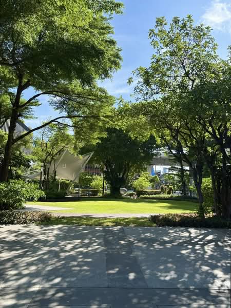 IDEO MOBI Sukhumvit 81, Bangkok, 2097 Sukhumvit Road, Bang Chak, Phra Khanong, Bangkok, 1 Bedroom, 22 sqm, Condo For Rent, by Nattayaporn Peumkul (Benz), 500368634 - DDproperty.com